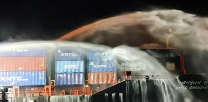 ������k8����Ӯ�ҡ�һ������