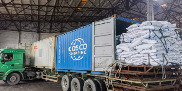 ������k8����Ӯ�ҡ�һ������