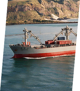 ������k8����Ӯ�ҡ�һ������